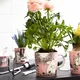 1005331_Moomin_moomin-mug-0.3L-love_04.jpg