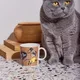 1062212_Moomin_moomin-mug-0,3L-stinky-in-action_04.jpg