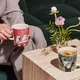 1064304_Moomin_moomin-mug-04l-green_04.jpg