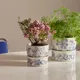 1079682_Moomin-plant-pot-170x150mm-Haru_B_1x1_eCom_3.jpg